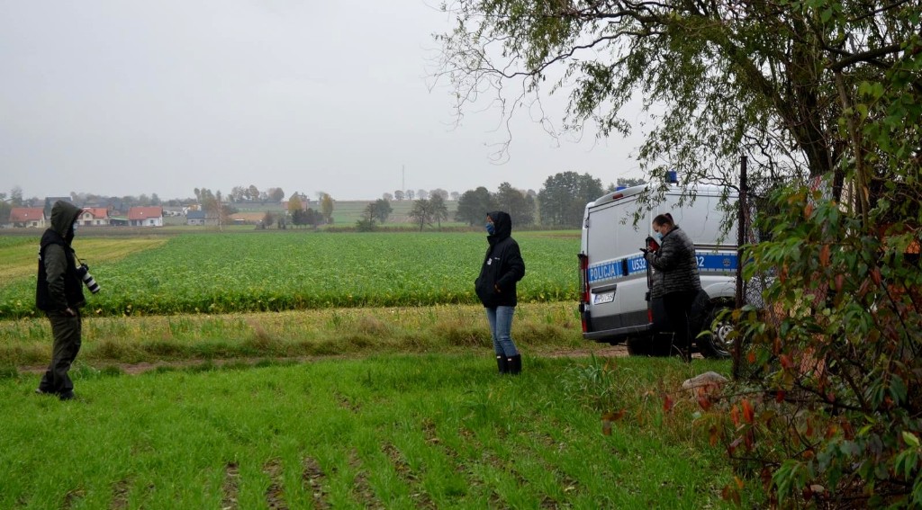 Interwencja obrońców zwierząt na fermie lisów pod Krotoszynem