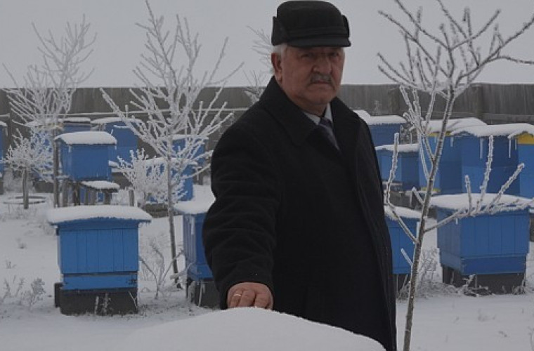 Pasje: Stefan Motyl i jego pszczoły [FOTO] - Zdjęcie główne