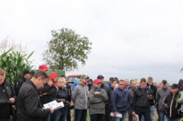 Zielone Pola - Pawłowice 2017. Zbiór kukurydzy kiszonkowej [ZDJĘCIA] - Zdjęcie główne