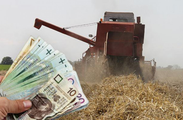 Susza 2018. 800 mln zł pomocy dla rolników - Zdjęcie główne