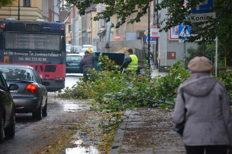 Krotoszyn. Niebezpiecznie w miejskich parkach [FOTO] - Zdjęcie główne