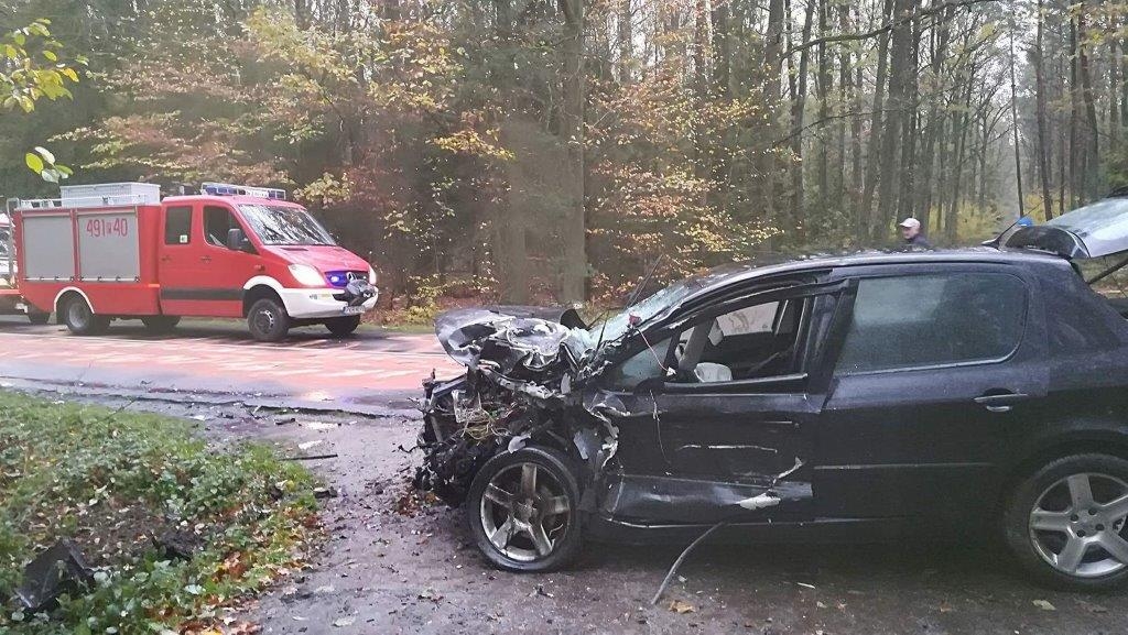 Krotoszyn - Sulmierzyce. Wypadek na drodze wojewódzkiej [FOTO] - Zdjęcie główne