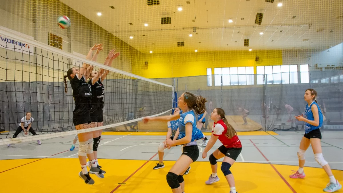 Siatkarskie emocje w Krotoszynie. Młode zawodniczki walczyły o Puchar Burmistrza [ZDJĘCIA]