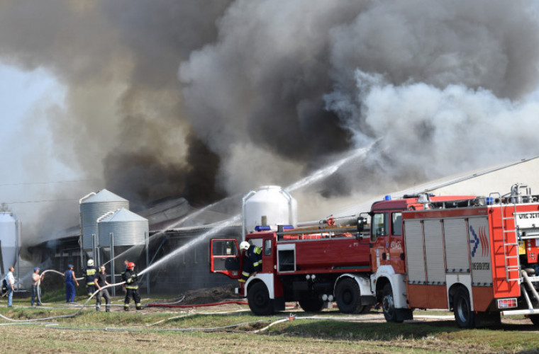 Chwaliszew: Wielki pożar chlewni. 700 zwierząt zginęło - Zdjęcie główne