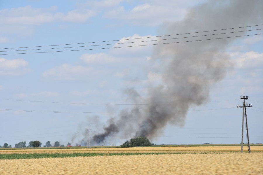 Pożar pola w Dzielicach - Zdjęcie główne