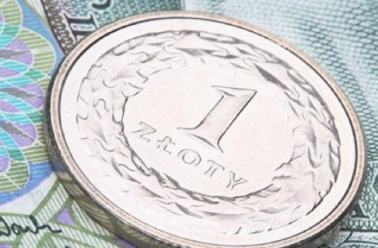 Ten krotoszyński urząd jest najlepszy W Wielkopolsce. Duża nagroda!  - Zdjęcie główne