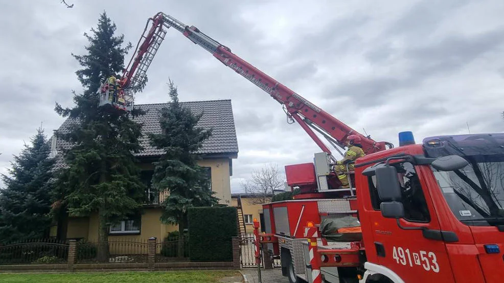 Strażacy w powiecie krotoszyńskim usunęli 26 wiatrołomów i zabezpieczyli 3 dachy - Zdjęcie główne