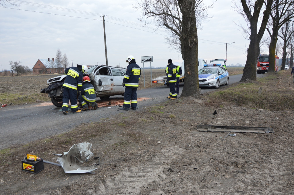 Mieszkaniec powiatu krotoszyńskiego uderzył w drzewo [FOTO] - Zdjęcie główne