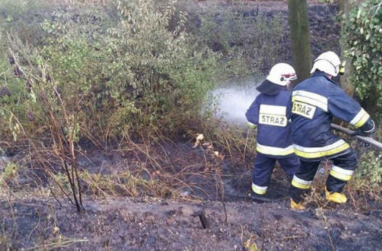 Krotoszyn. 10 tys. zł poszło z dymem - Zdjęcie główne