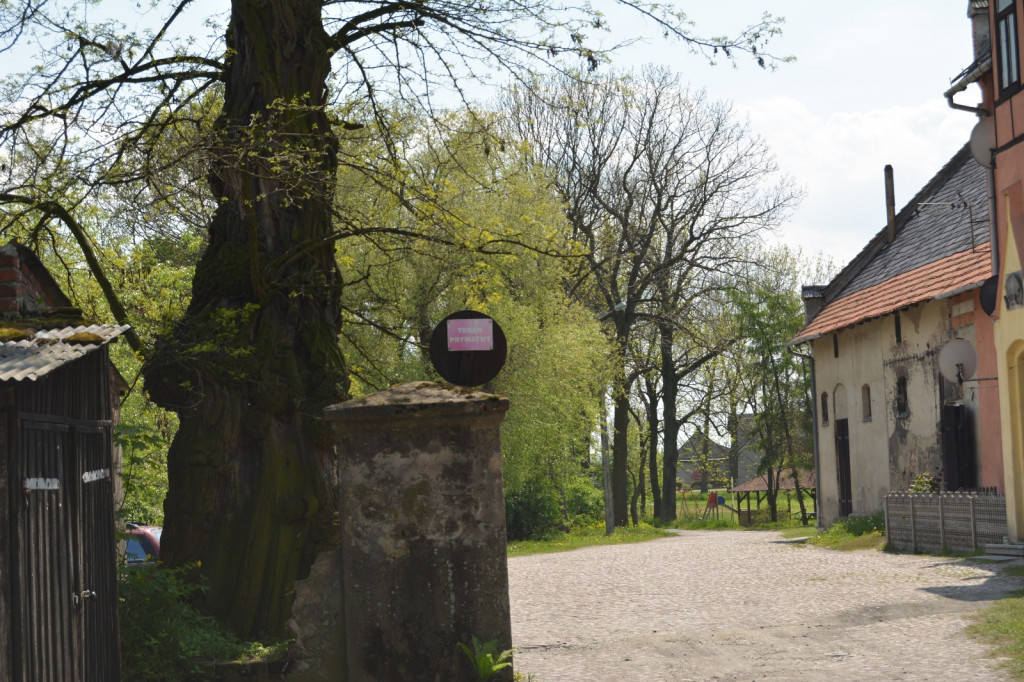 Krotoszyn. Piknik Wojskowy w "Czwórce" [FOTO] - Zdjęcie główne