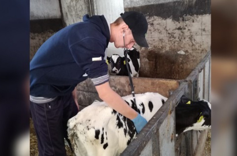 Witold Błaszyk - ambitny weterynarz i inseminator - Zdjęcie główne