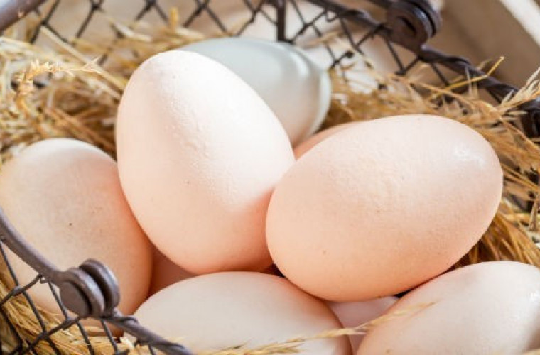 Drogie jaja. Ceny będą rosnąć - Zdjęcie główne