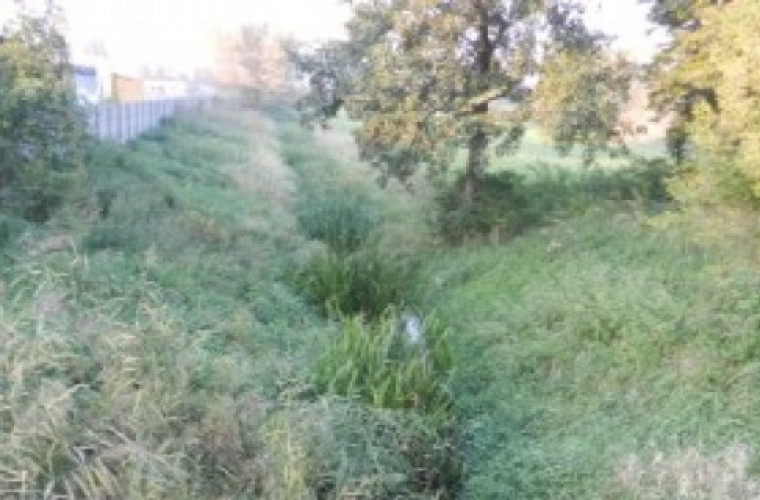 Sulmierzyce: Zarośnięta rzeka kłuje w oczy - Zdjęcie główne