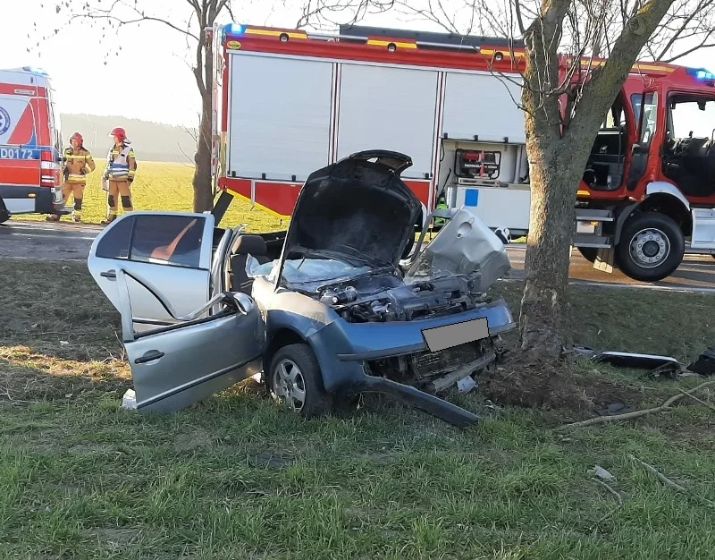 Samochód osobowy uderzył w drzewo. Mieszkaniec Krotoszyna jest ciężko ranny [ZDJĘCIA] - Zdjęcie główne