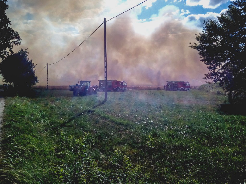 Pożar zboża w Gorzupi - Zdjęcie główne