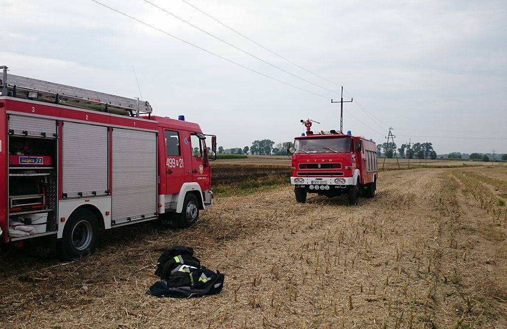 Grębów. Groźny pożar zboża [ZDJĘCIA] - Zdjęcie główne