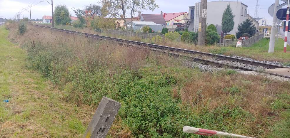Remont odcinka linii 281 między Jarocinem a Koźminem