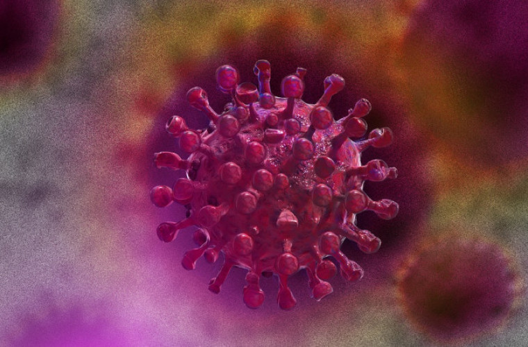 Koronawirus. 25 nowych przypadków zakażenia COVID-19 w regionie - Zdjęcie główne