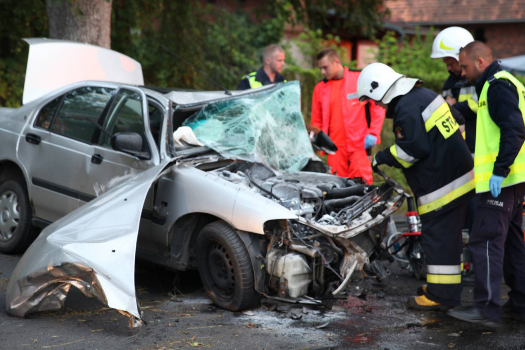 Biała Róża. Auto uderzyło w przydrożne drzewo [FOTO] - Zdjęcie główne