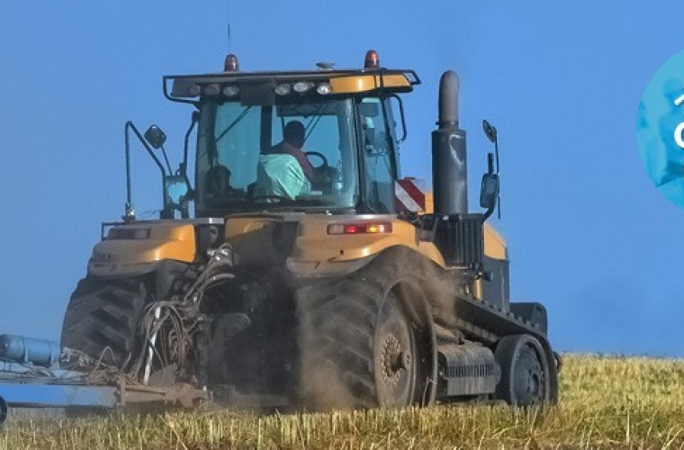 Czarne barwy zazieleniania - Zdjęcie główne