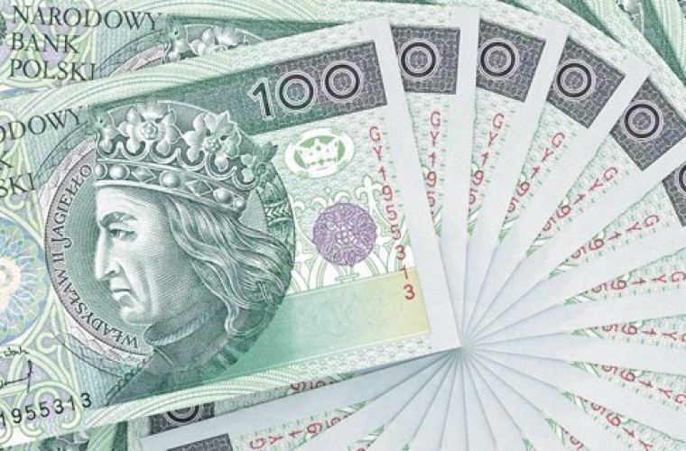 Wyższe dopłaty do materiału siewnego - Zdjęcie główne