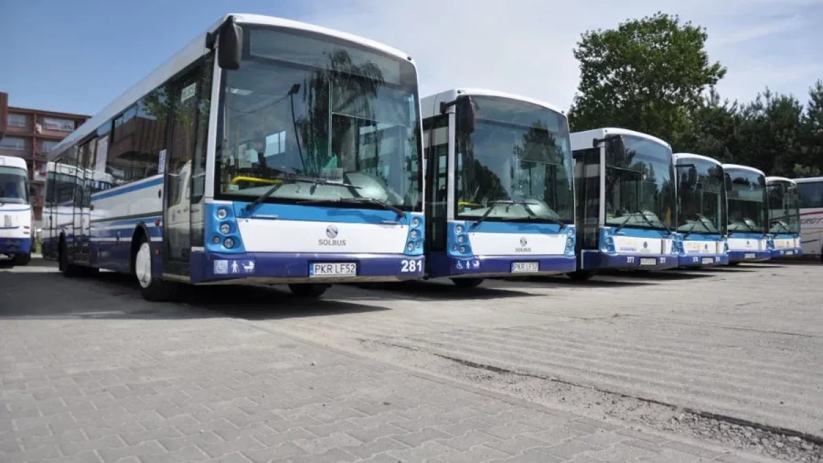 Gmina Krotoszyn. Bezpłatny autobus do lokali wyborczych [ROZKŁAD JAZDY] - Zdjęcie główne