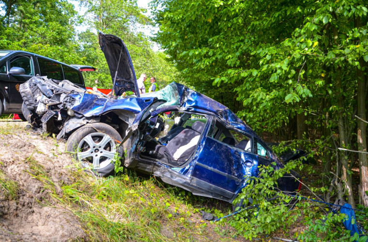 Wypadek śmiertelny. Auto na krotoszyńskich numerach uderzyło w drzewo [FOTO] - Zdjęcie główne