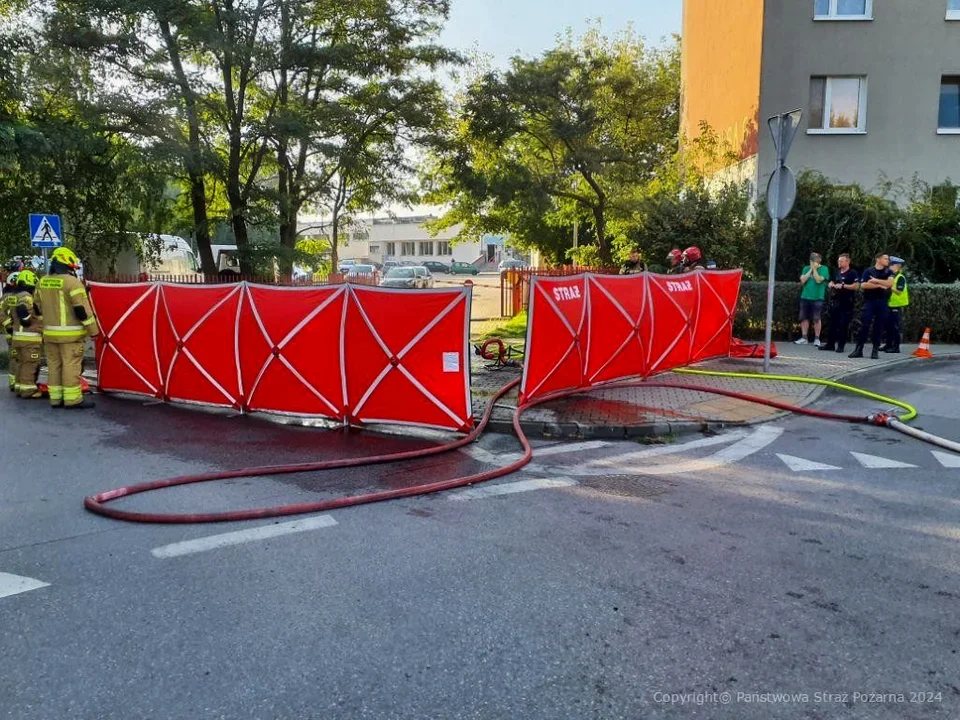 Z  KRAJU: Szokujący wypadek. Podczas cofania zapalił się samochód elektryczny, kierowca spłonął uwięziony w środku - Zdjęcie główne