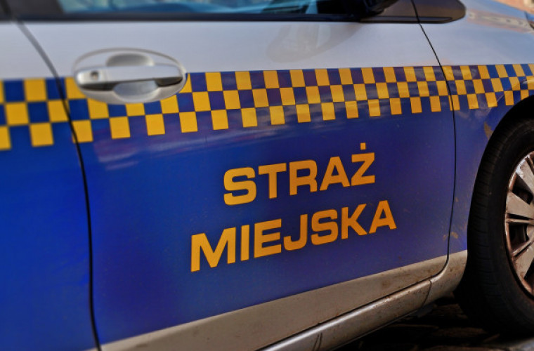 Krotoszyn. Strażnicy miejscy kupili autobus i radiowóz [FOTO] - Zdjęcie główne