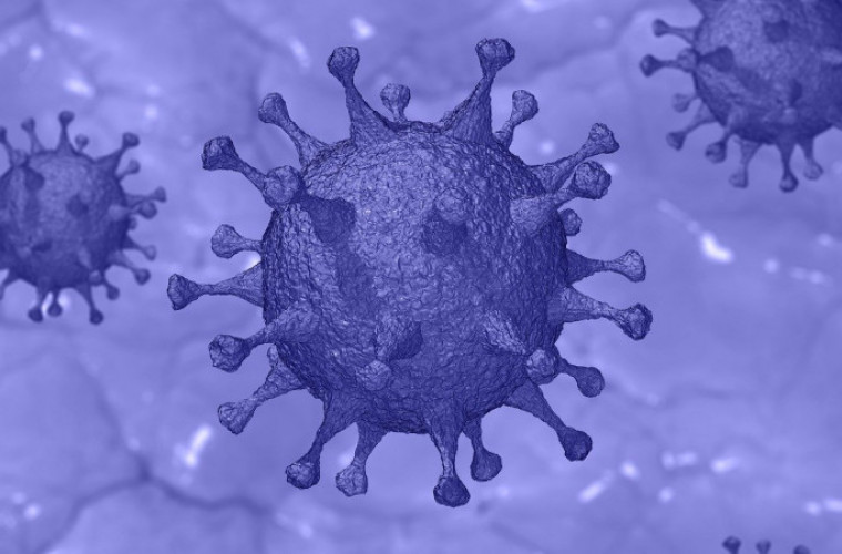 Niemal 600 nowych przypadków koronawirusa. 11 zakażonych zmarło - Zdjęcie główne