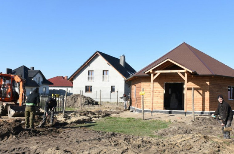 Stary Kobylin: Grzybek rośnie jak grzyby po deszczu - Zdjęcie główne