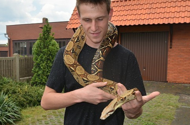 Krotoszyn: Mój przyjaciel - boa dusiciel - Zdjęcie główne