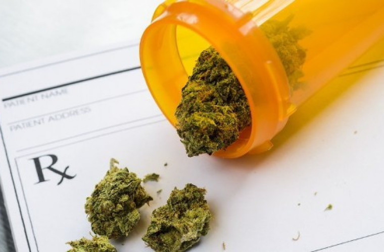 Medyczna marihuana będzie legalna. [ANKIETA] - Zdjęcie główne