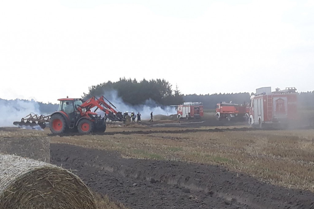 Pożar zboża na pniu w Rudzie - Zdjęcie główne