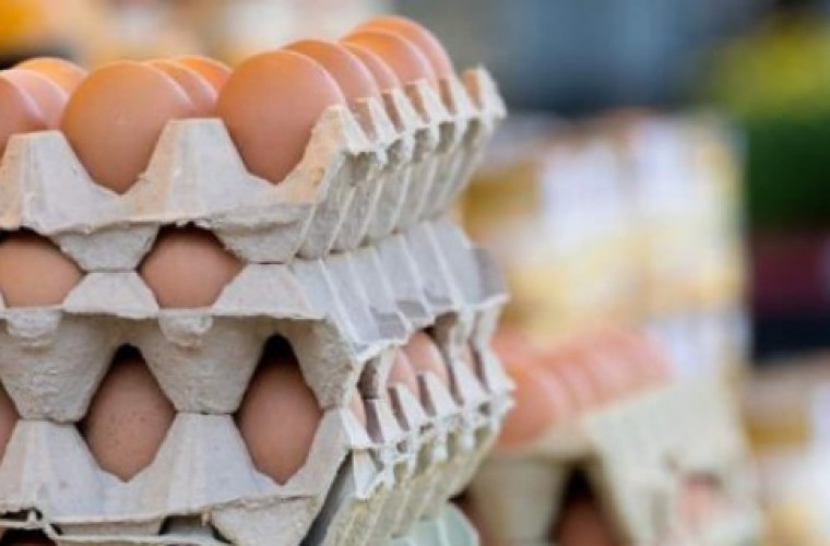 Nowa szczepionka przeciwko salmonelli - Zdjęcie główne