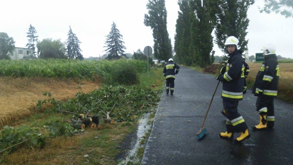 Powiat. Ulewne deszcze i silny wiatr. Strażacy w akcji - Zdjęcie główne