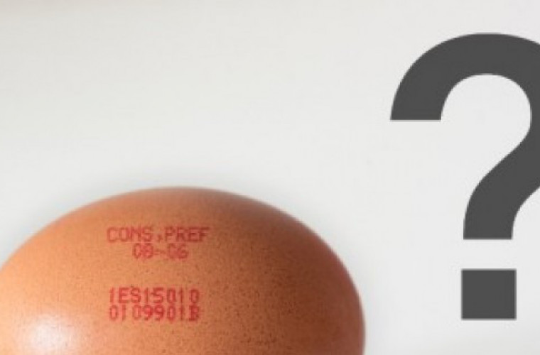 Jak rozszyfrować numery na jajach? - Zdjęcie główne