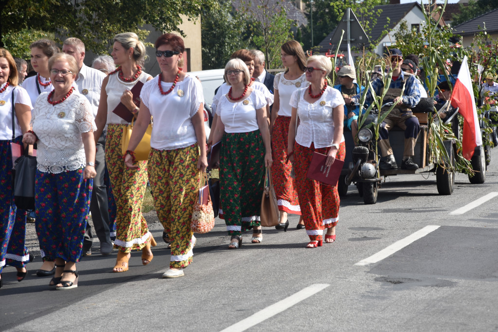 Dożynki w Sulmierzycach - Zdjęcie główne