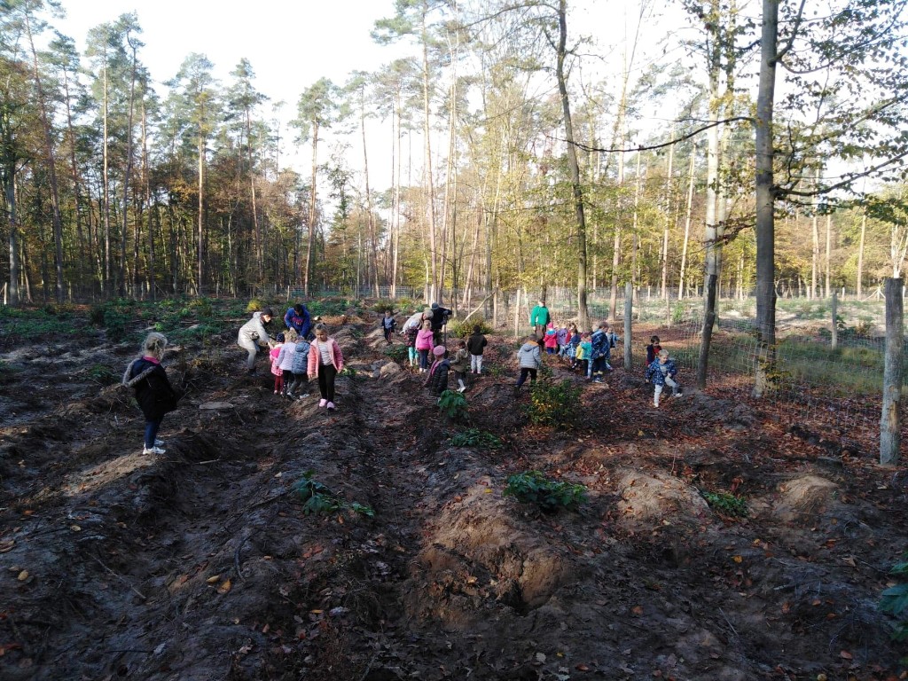 Przedszkolaki z Biedronki na wyprawie w lesie - Zdjęcie główne