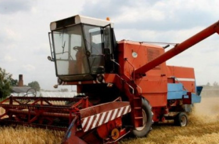 Ile rolnikom za plony płacą zakłady zbożowe? Aktualne ceny zbóż - Zdjęcie główne