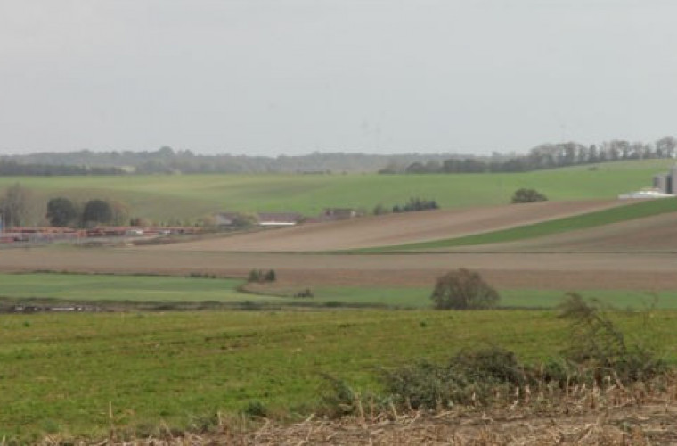 Interweniują w sprawie dzierżawy państwowych gruntów - Zdjęcie główne