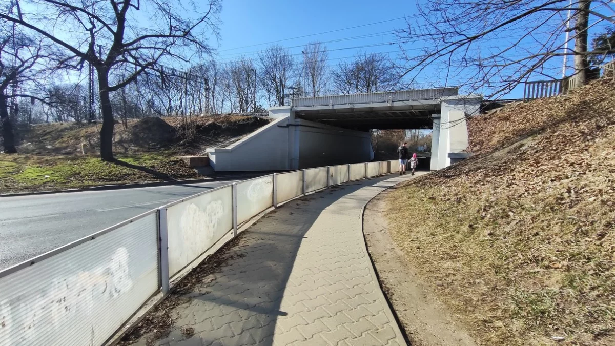 Wiosna nie zwalnia. Czwartek przyniesie więcej światła i spokoju