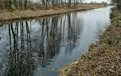 Sulmierzyce. Oczyszczają Czarną Wodę - Zdjęcie główne