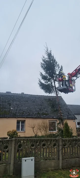 Skutki wichury w powiecie krotoszyńskim