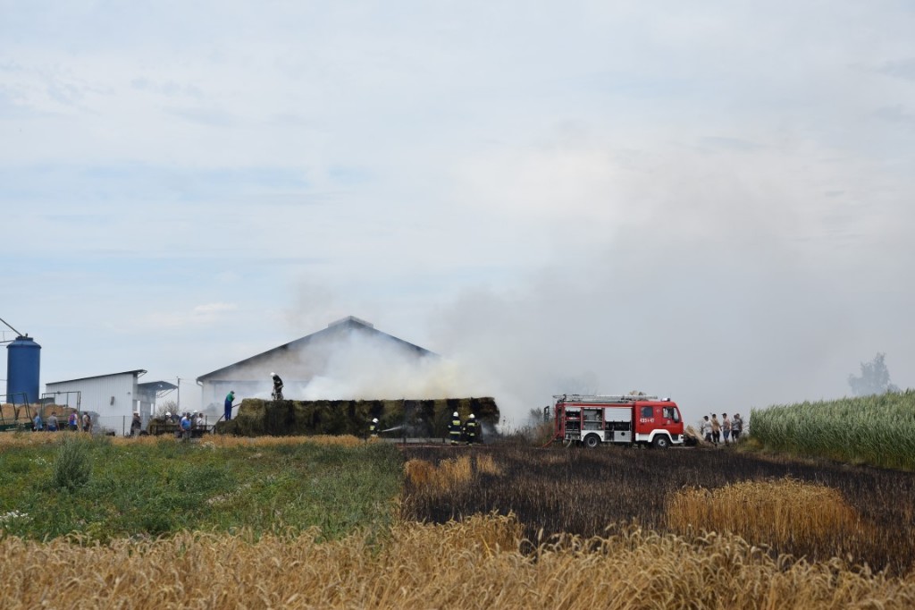 Pożary w Chwaliszewie - Zdjęcie główne