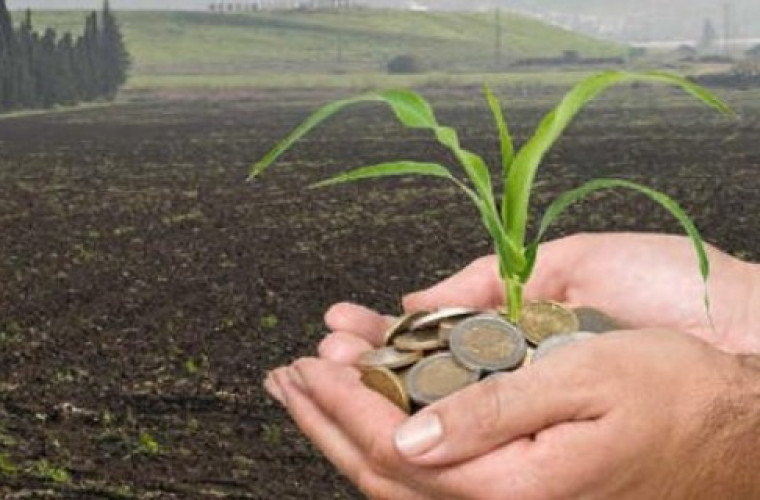 Płatności bezpośrednie za 2017 r. - jakie stawki? - Zdjęcie główne