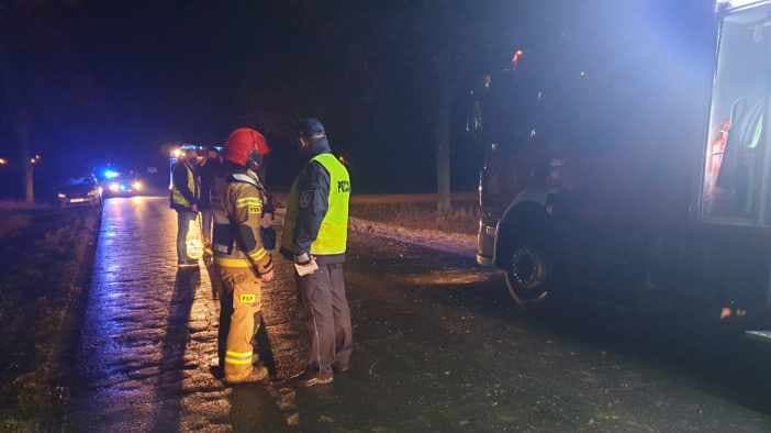 Wypadek śmiertelny na trasie Krotoszyn - Wróżewy