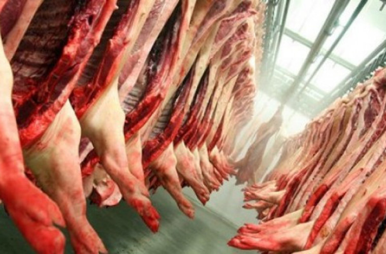 Ubój świń na własny użytek znów pod lupą NIK - Zdjęcie główne