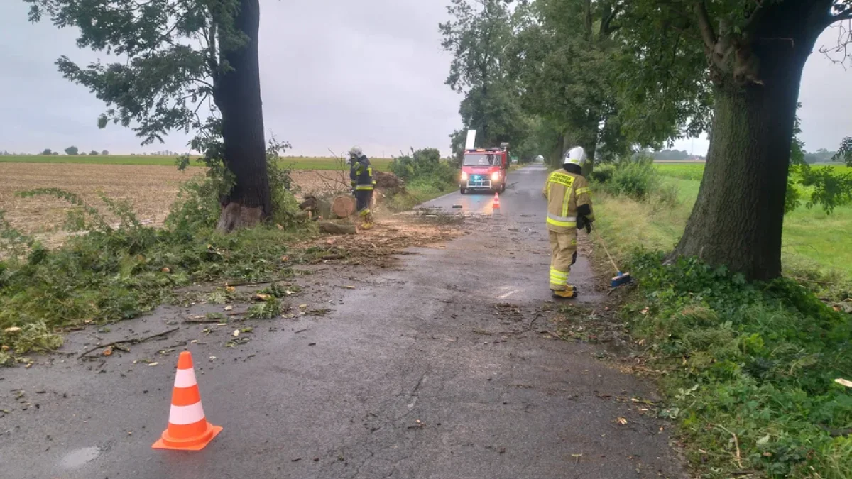 Sytuacja pogodowa w powiecie krotoszyńskim. Interwencje straży pożarnej - Zdjęcie główne