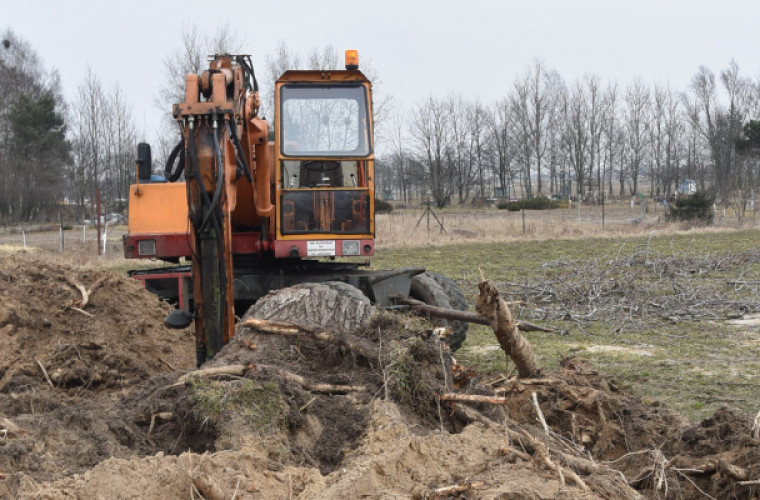 Rozdrażew: Po siedmiu miesiącach od wichury usunięto korzenie - Zdjęcie główne